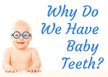 Granbury dentist, Dr. Buske at Granbury Dental Center, discusses the reasons why we have baby teeth and the importance of caring for them with pediatric dentistry.