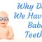 Why Do We Have Baby Teeth? (featured image)